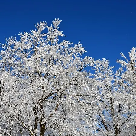 Zur Glocke דירה ווינטרברג