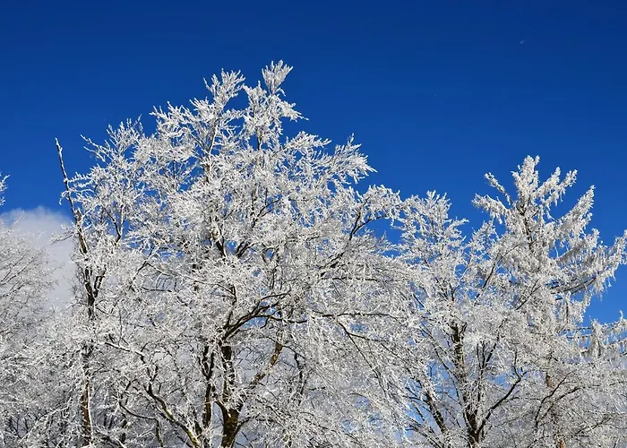 Zur Glocke Lägenhet Winterberg