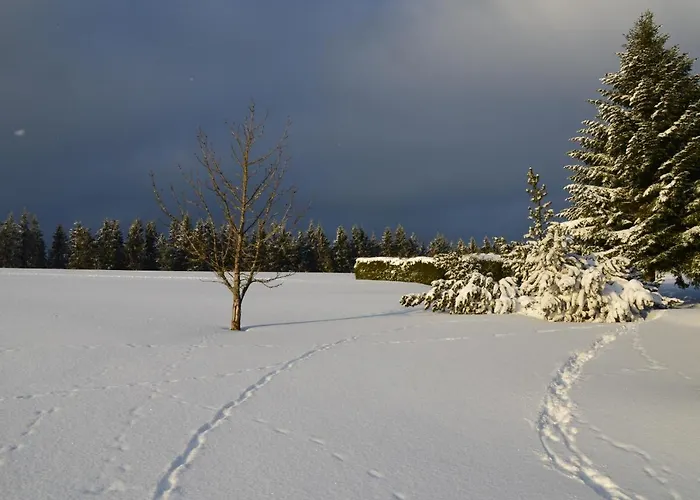 Zur Glocke Winterberg