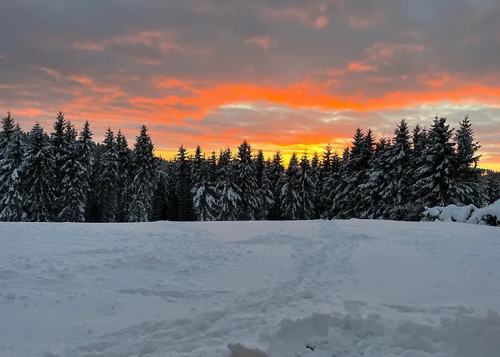 Zur Glocke Lejlighed